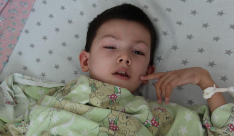 Крупное фото подопечного